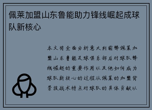佩莱加盟山东鲁能助力锋线崛起成球队新核心 佩莱加盟山东鲁能助力锋线崛起成球队新核心